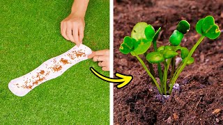 🌻 Лайфхаки для сада: умные способы улучшения вашего зеленого пространства