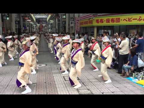 夢舞隊　2015　高知よさこい全国大会　ダイジェスト