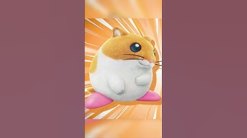 YOUR FAVORITE KIRBY CHARACTER IS HERE!!