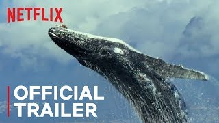 Our Planet Official Trailer Hd Netflix