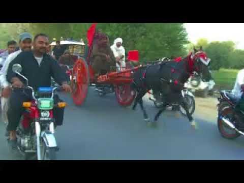 GHORRA RACE CHACHHI BADSHAH VS NAGAA MALANG 01 04 18