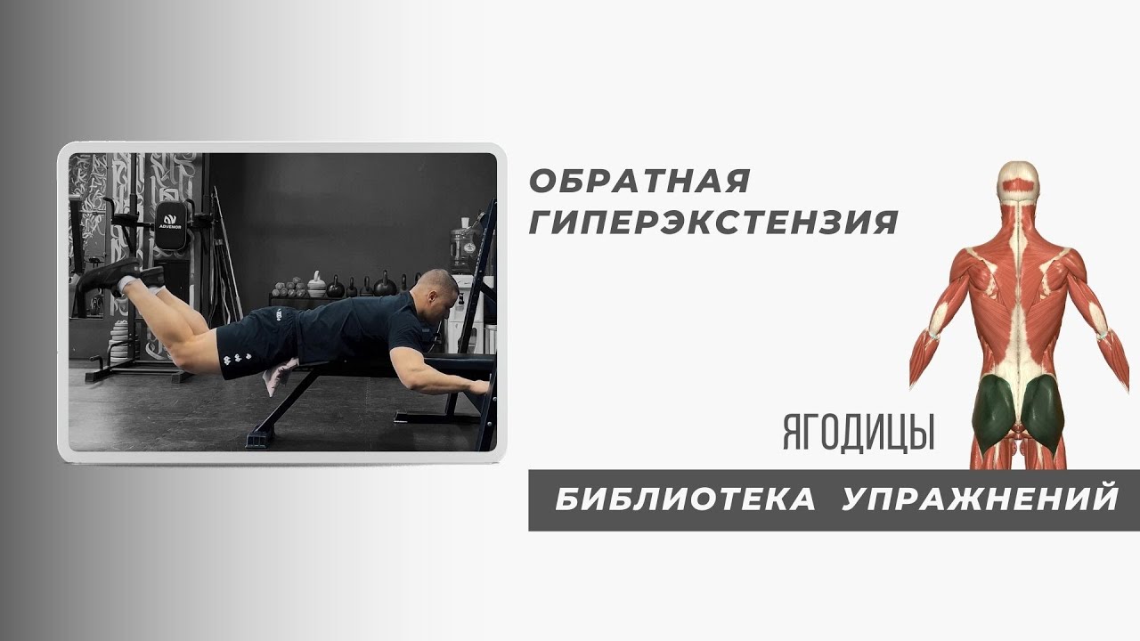 Обратная гиперэкстензия - YouTube