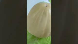 עוגת שכבות מיוחדת עם דלעת