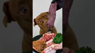 Duck head #asmr #pitbull #rawfood #rawdogfooddiet #eatingsounds #rawfeed #eatingvideos