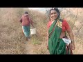 आज शेतामध्ये झाडांना खूप मेहनतीने मशागत करून पाणी दिलं | शेतकरी जीवन | Hard Work In Farm 🌱💪