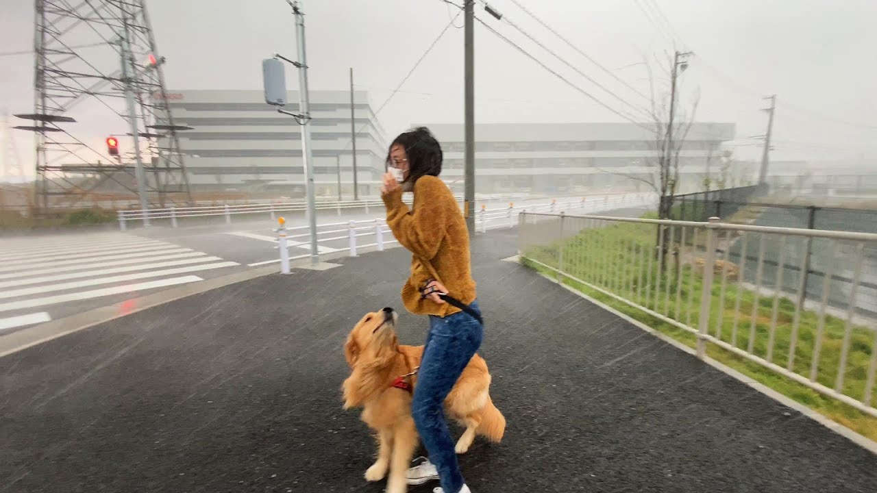 【80ミリ豪雨に雹！】天気予報見ずに散歩行くとこうなる