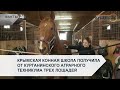 Крымская конная школа получила от Курганинского аграрного техникума трех лошадей