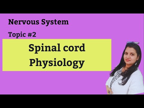 Spinal cord physiology - YouTube