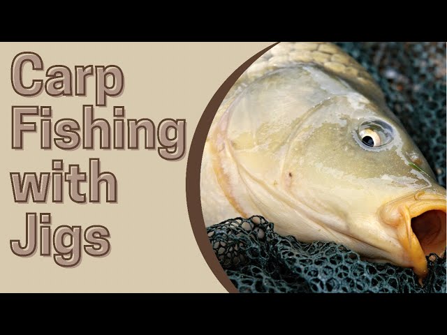 Carp Fishing With Jigs 