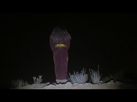 الجنيه تغري المغامر في وجهها الجميل