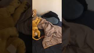 Study Abroad Video Esce International Business School--Guoxin Zhong