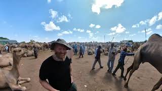 Wandering the Camel Market in Hargiesa Somalia
