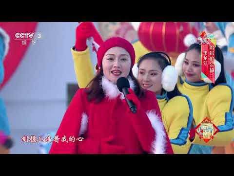 [2020东西南北贺新春]《回家过年》 演唱：王宁 李雪飞| CCTV综艺
