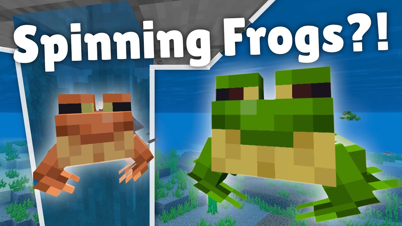Minecraft Spinning Frog Glitch! 1.19 Wild Update! - YouTube