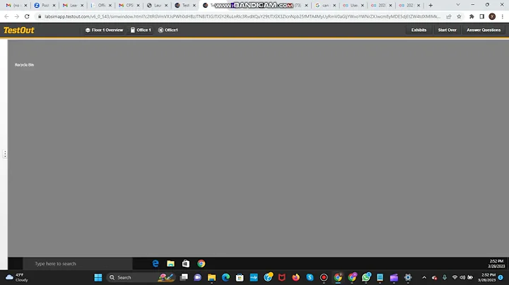 10.2.6 Perform a DHCP Spoofing Man-in-the-Middle Attack
