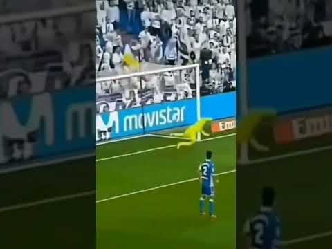 𝚛𝚘𝚗𝚊 𝚕𝚍𝚘