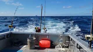 Fishing for Blue Marlin LIVE
hooked a blue marlin!!!! Trolling, Marlin, wahoo, Tuna, Deep sea fishing...
Help support the stream by sending a donation!
https://www.paypal.com/donate/?hosted_button_id=FW7J9PXR9KNCA
TTS $2 | MEDIA $3
Play a song you Found on YouTube through my speaker!
https://www.donationalerts.com/r/oceanadventures
Send a nice message and have a robot voice read it out on my live stream
https://streamlabs.comsejcc?/oceanadventures2018
Follow on instagram:
https://instagram.com/ocean adventures?igshid=ZmZhODViOGI=
stream is created with #PRISMLiveStudio Fishing for Blue Marlin LIVE