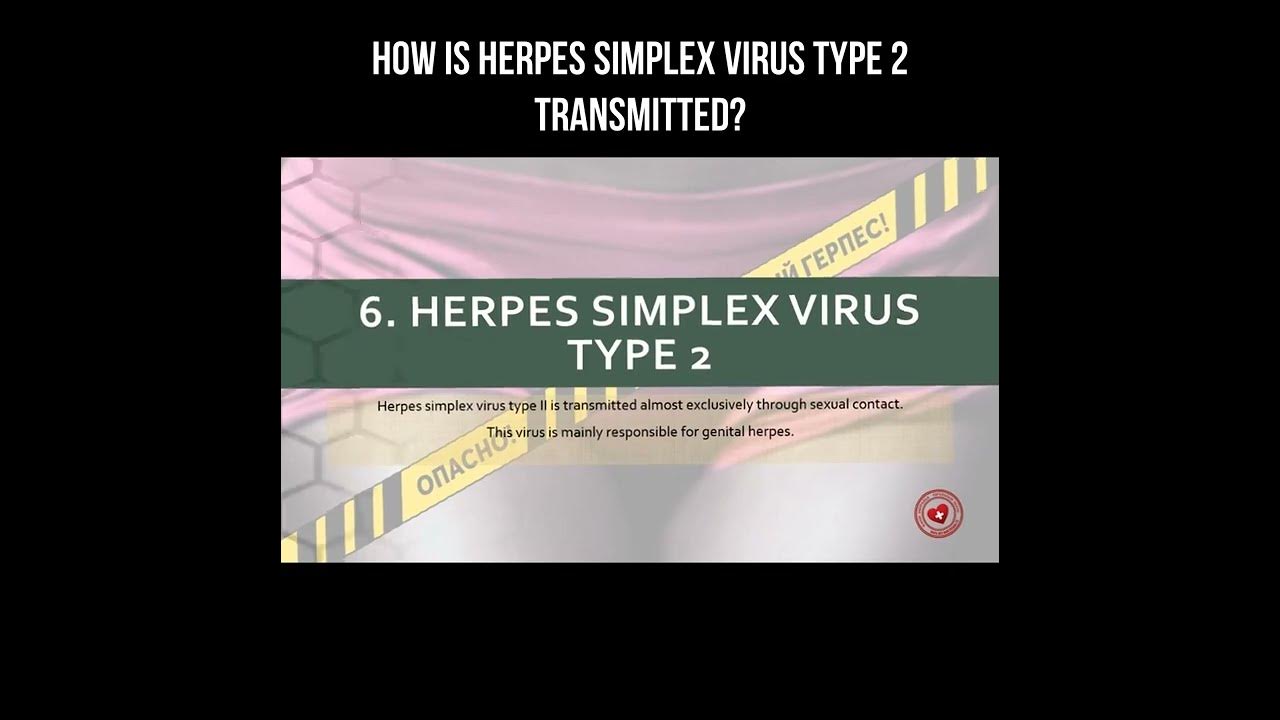 how-is-herpes-simplex-virus-type-2-transmitted-herpessimplex