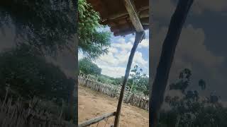 #bom dia Deus abençoe