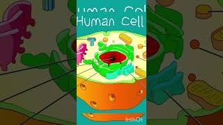 part 3 Molecules se Cell kaise banta hai؟ | Atom to Biosphere –