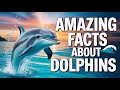 Episode 544: Amazing Facts about Dolphins | ডলফিনৰ বিষয়ে আচৰিত তথ্য