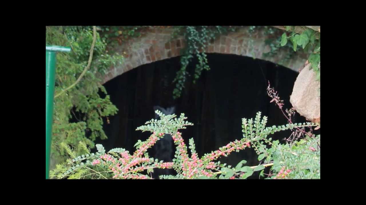 ghost-caught-on-camera-audley-end-house-youtube