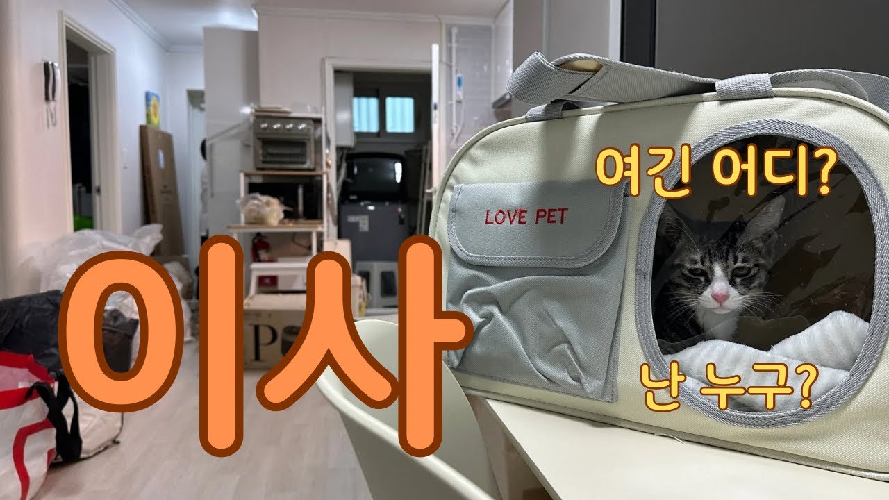 우리가 이별하는 날
