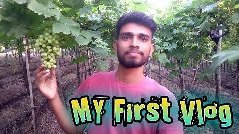 My First Vlog... l My First Video | My first vlog on YouTube #myfirstvlogsalmansayyed