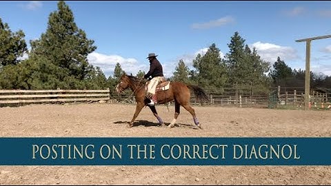 Posting on the Correct Diagonal