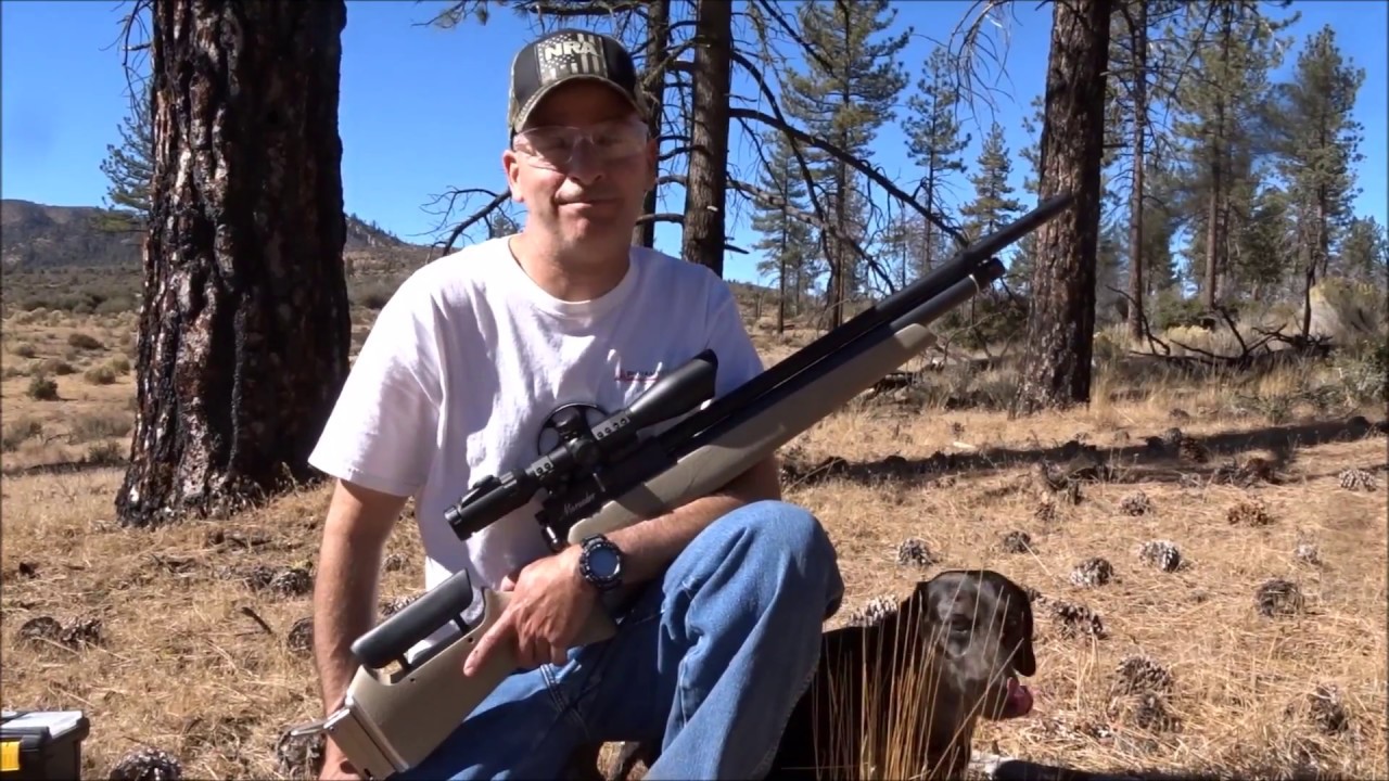 Pyramyd Air Backyard Brawler (offhand) - YouTube