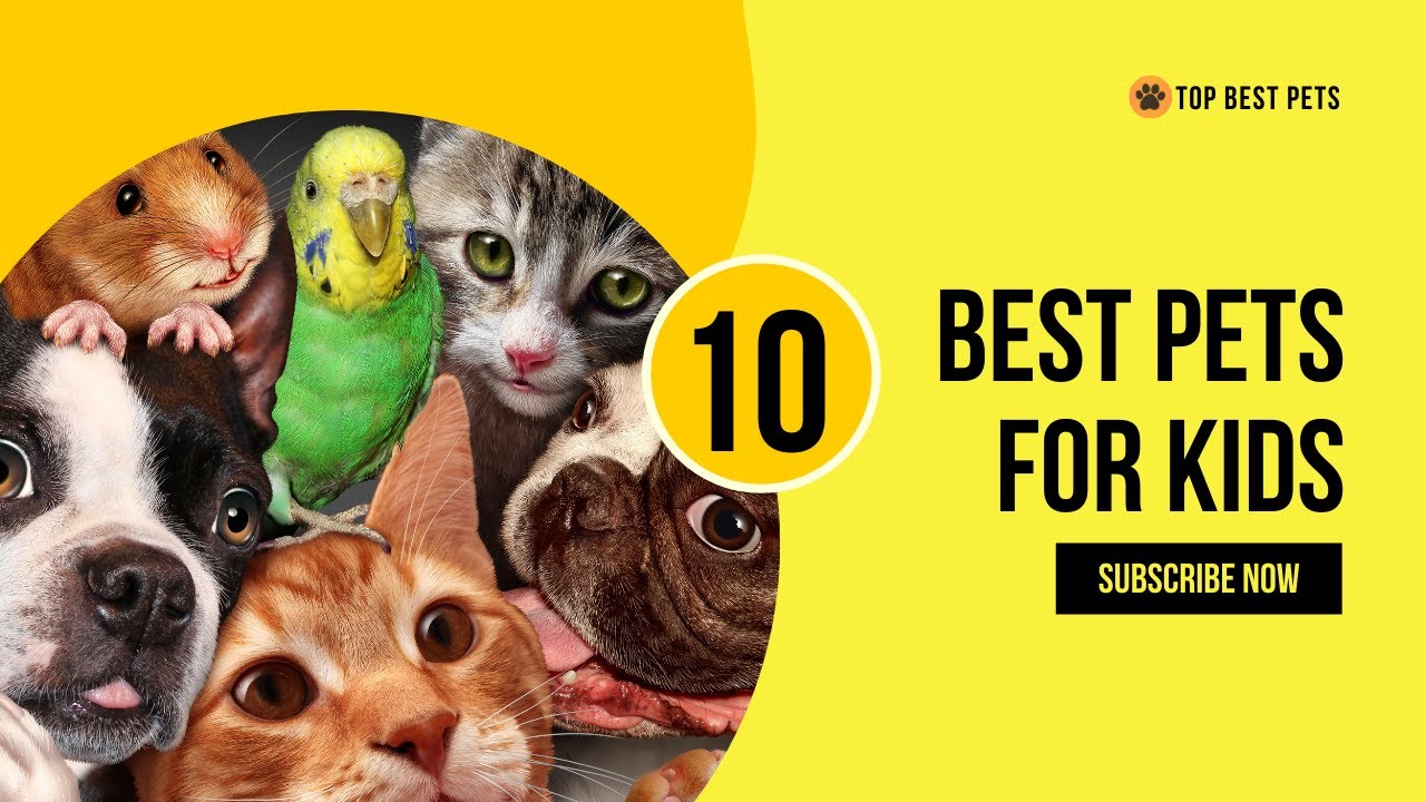 The 10 Best Pet-Friendly Children's Homes