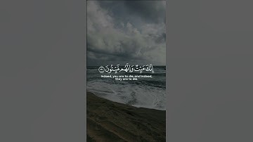الأية 30 و 31 من سورة الزمر 🎧