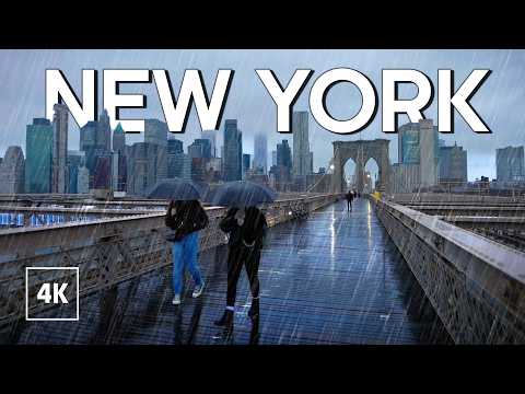 New York, Hoa Kỳ | Đi Bộ Thành Phố 4K | 17 thg 1, 2023