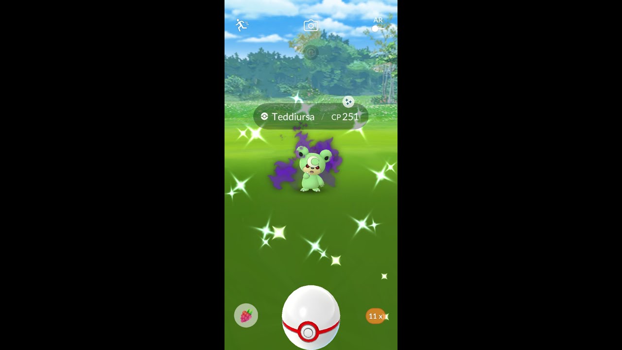 Shiny Shadow Teddiursa EVO into Shiny Shadow Ursaring