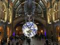 My visit to the Natural Science Museum London.
