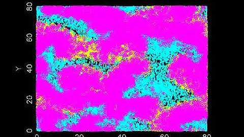 Stochastic Consumer Resource Model Simulation