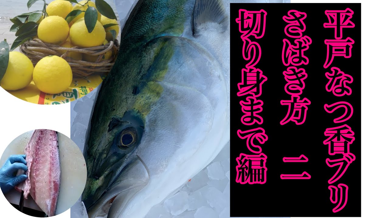 019 平戸なつ香ブリ 半身 長崎県平戸市 ふるさと納税 ふるさとチョイス