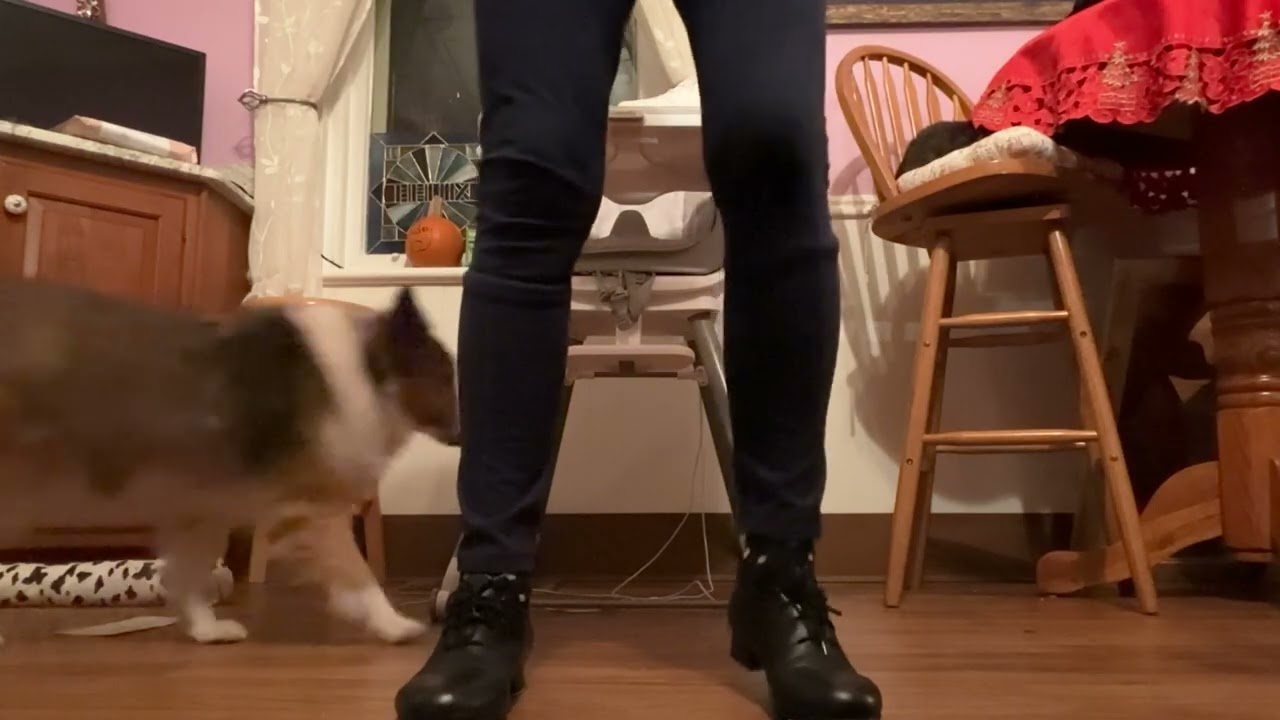 Class #4 Free Tap Class 55+