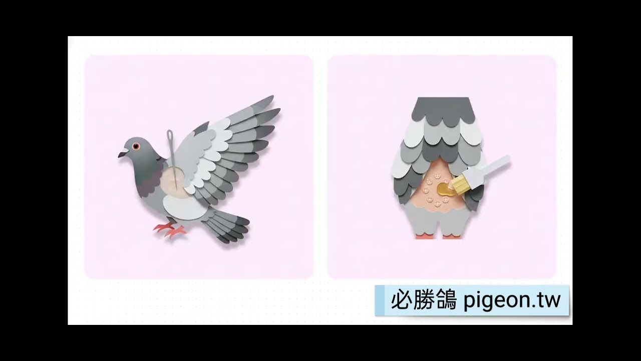 S1-SP005 鴿痘：飼主必備的預防與照護指南 濃縮圖解無字幕版
