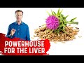 Silymarin in Milk Thistle is a Powerhouse for the Liver