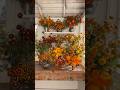 Watch Now: October on the Farm