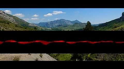 Zoomusicologylyric Bassist diljzxtvna