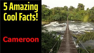 5 Fascinating Facts About Cameroon