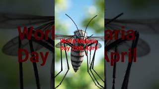 world malaria day 25th April #malaria #mosquito #disease #malariacontrol #youtubeshorts #partha-13x
