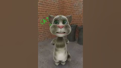 Talking Tom Cat - Lazy Song