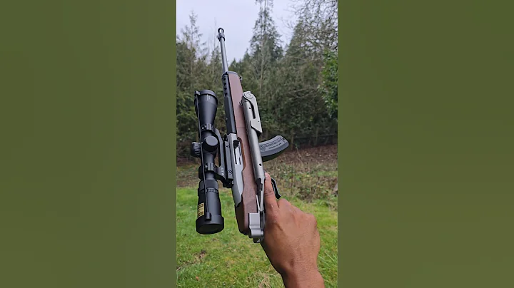 Ruger 10/22 - Samson BTM #shtfsurvival  #bugout  #22lr #youtubeshorts #edc