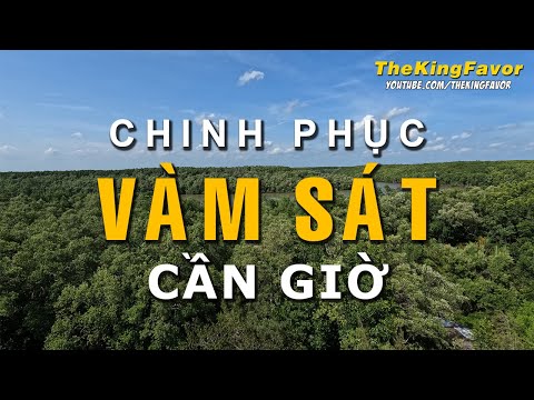 Video Đảo Khỉ Đuôi Dài | Tràm Chim | Khu Du Lịch Sinh Thái... - youtube