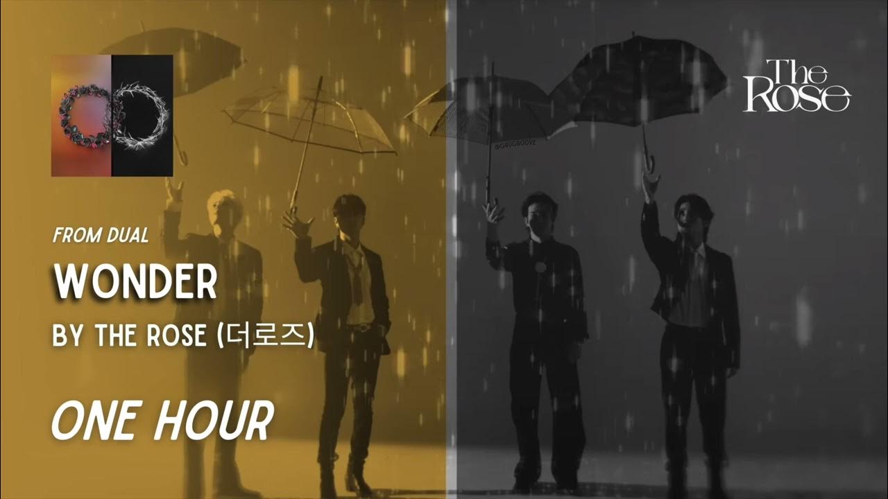 Wonder by The Rose One Hour Loop Grugroove🎶 YouTube