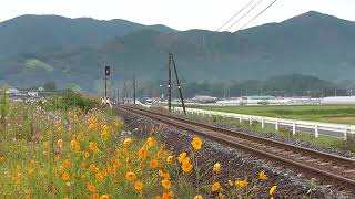 【鉄道走行動画】JR土讃線 斗賀野→襟野々 2輌(1000系)