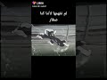 اجمل حالات واتساب شامخه 3